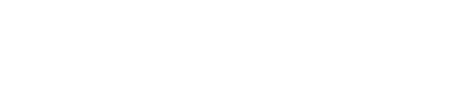 wis.dom|bridge™